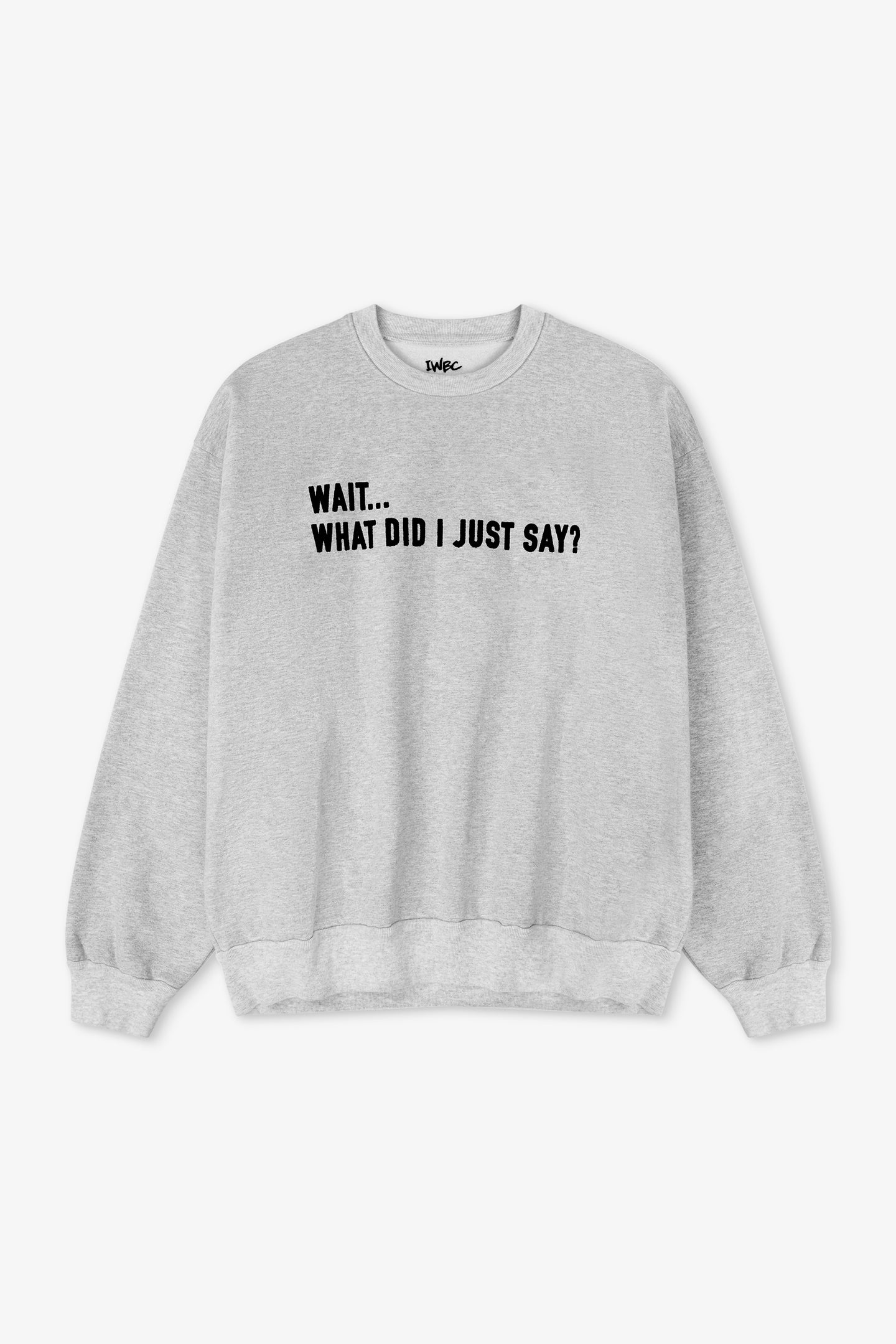 Gray sweatshirt with text 'WAIT... WHAT DID I JUST SAY?' on a white background