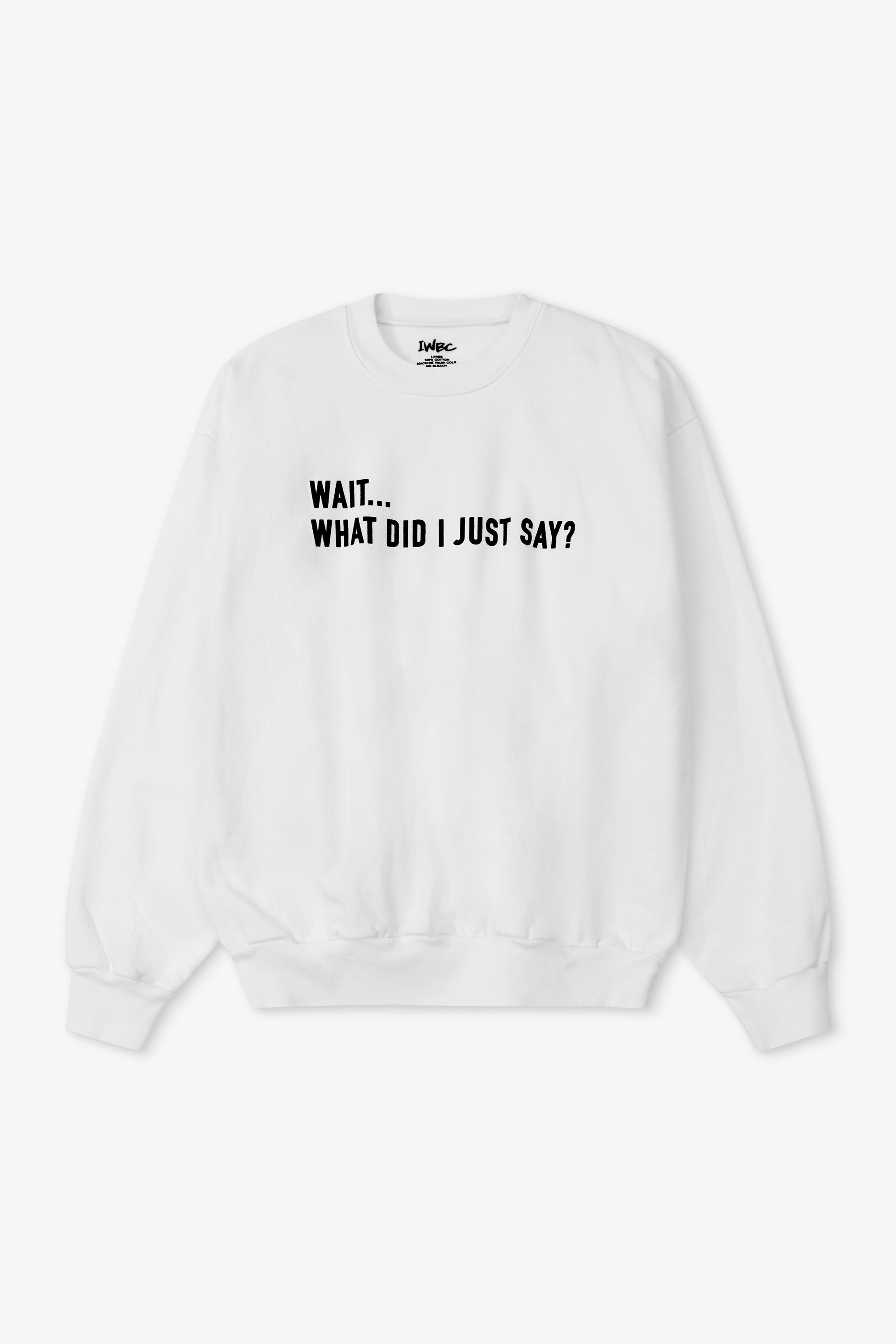 White sweatshirt with text 'WAIT... WHAT DID I JUST SAY?' on a white background